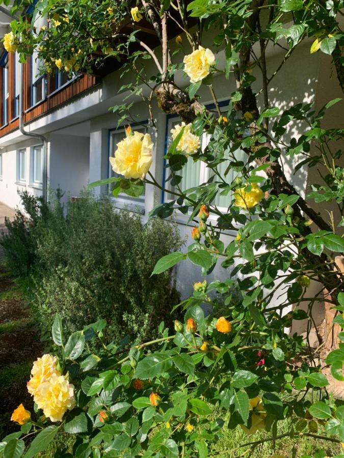 Ferienwohnung Am Krippenhof บาเดน-บาเดน ภายนอก รูปภาพ