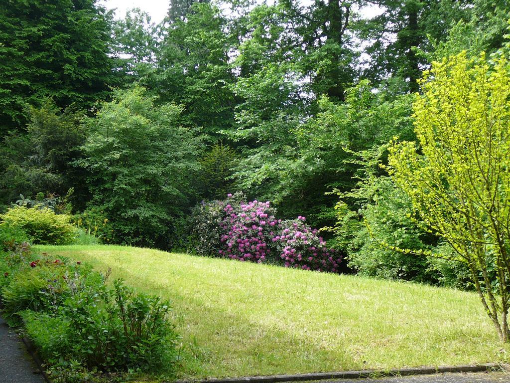 Ferienwohnung Am Krippenhof บาเดน-บาเดน ภายนอก รูปภาพ